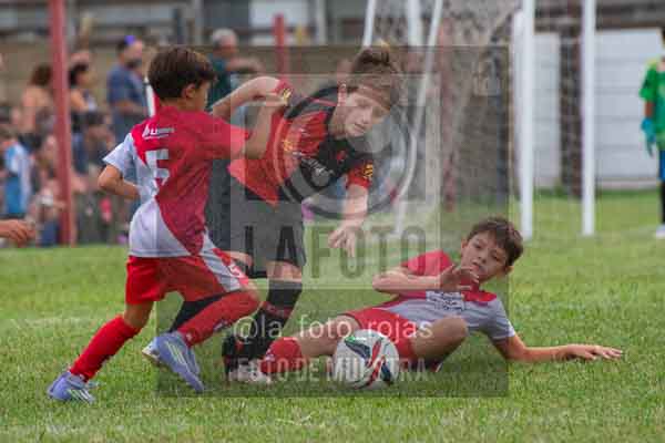 Fotografía 22226-MUND-ROJINE-55 de MUNDIALITO ROJINEGRO