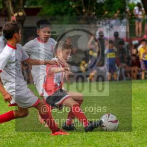 Fotografía 22226-MUND-ROJINE-60 de MUNDIALITO ROJINEGRO