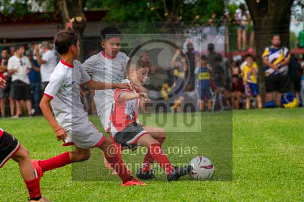 Fotografía 22226-MUND-ROJINE-60 de MUNDIALITO ROJINEGRO