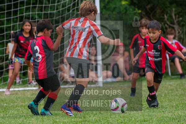 Fotografía 22226-MUND-ROJINE-68 de MUNDIALITO ROJINEGRO