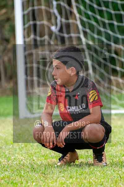 Fotografía 22226-MUND-ROJINE-69 de MUNDIALITO ROJINEGRO