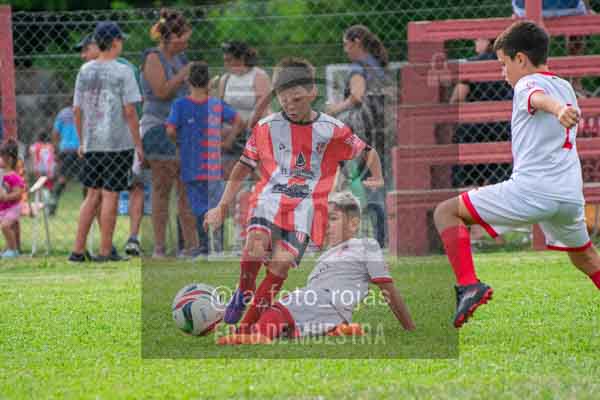 Fotografía 22226-MUND-ROJINE-7 de MUNDIALITO ROJINEGRO