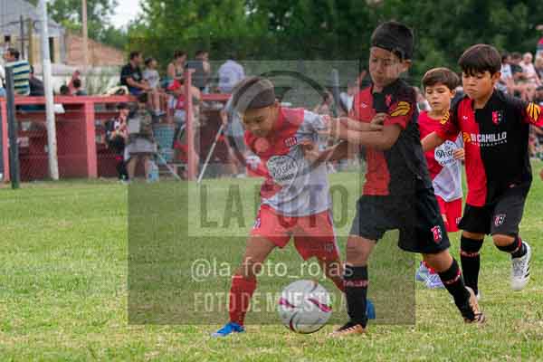 Fotografía 22226-MUND-ROJINE-77 de MUNDIALITO ROJINEGRO
