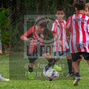 Fotografía 22226-MUND-ROJINE-78 de MUNDIALITO ROJINEGRO