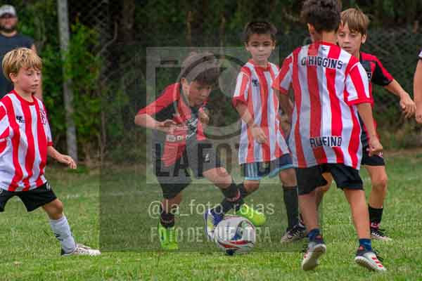 Fotografía 22226-MUND-ROJINE-78 de MUNDIALITO ROJINEGRO