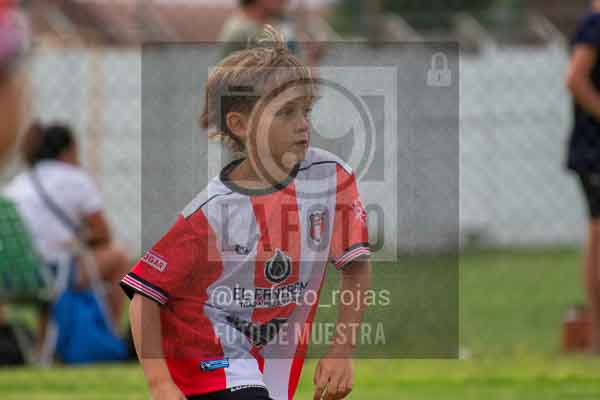 Fotografía 22226-MUND-ROJINE-79 de MUNDIALITO ROJINEGRO
