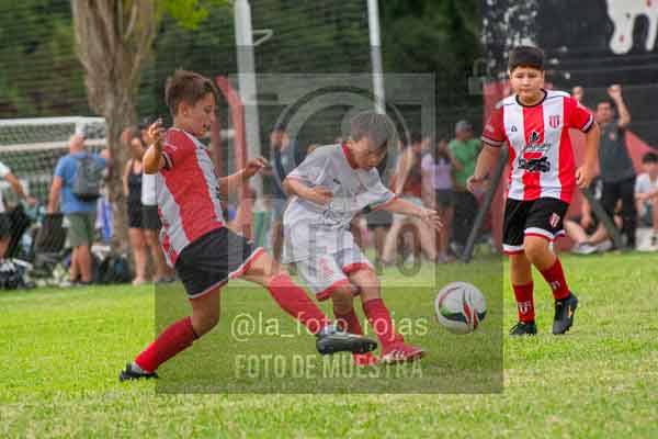 Fotografía 22226-MUND-ROJINE-8 de MUNDIALITO ROJINEGRO
