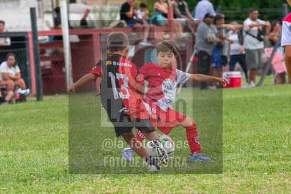 Fotografía 22226-MUND-ROJINE-81 de MUNDIALITO ROJINEGRO