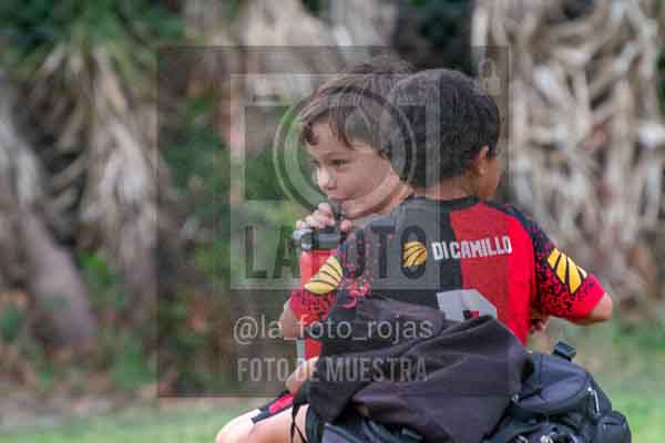 Fotografía 22226-MUND-ROJINE-82 de MUNDIALITO ROJINEGRO