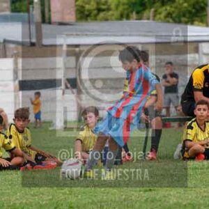 Fotografía 22226-MUND-ROJINE-84 de MUNDIALITO ROJINEGRO