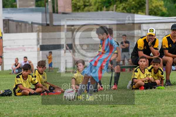 Fotografía 22226-MUND-ROJINE-84 de MUNDIALITO ROJINEGRO
