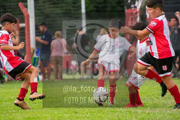 Fotografía 22226-MUND-ROJINE-9 de MUNDIALITO ROJINEGRO