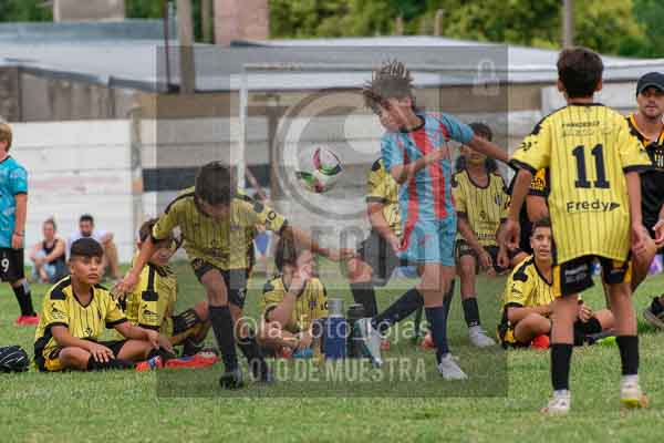 Fotografía 22226-MUND-ROJINE-90 de MUNDIALITO ROJINEGRO