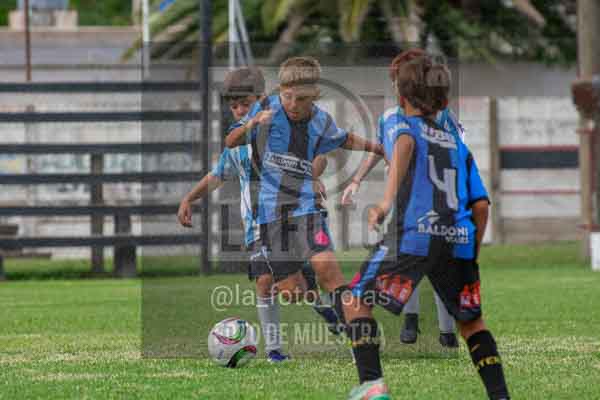 Fotografía 22226-MUND-ROJINE-91 de MUNDIALITO ROJINEGRO