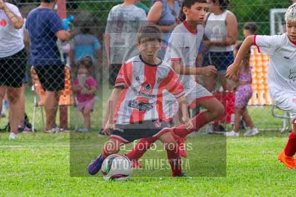 Fotografía 22226-MUND-ROJINE-92 de MUNDIALITO ROJINEGRO
