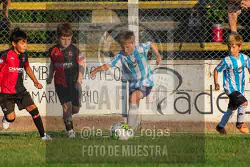 Fotografía 3-2-26-ARG-NEW-5 de NEWBERY ARGENTINO 2018