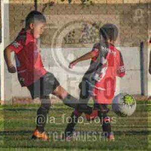 Fotografía 3-2-26-ARG-NEW-7 de NEWBERY ARGENTINO 2018