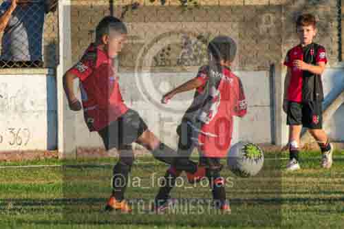 Fotografía 3-2-26-ARG-NEW-7 de NEWBERY ARGENTINO 2018