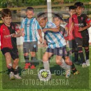 Fotografía 3-2-26-ARG-NEW-8 de NEWBERY ARGENTINO 2018