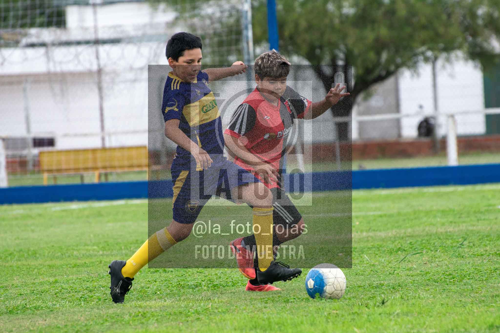 Fotografía 14-3-26-BOC-NEW-2015-11 de 2026-03-14 Boca Newbery 2015