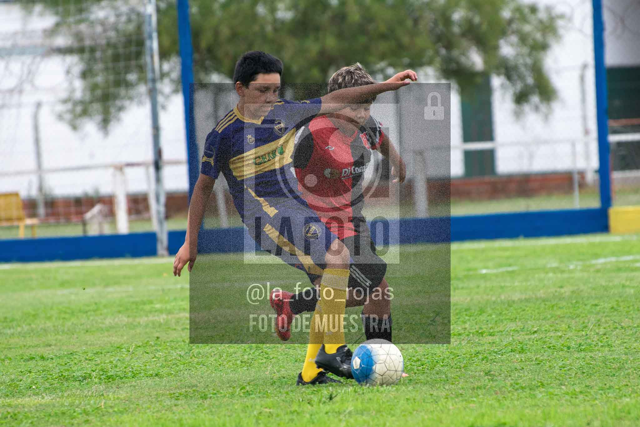 Fotografía 14-3-26-BOC-NEW-2015-12 de 2026-03-14 Boca Newbery 2015