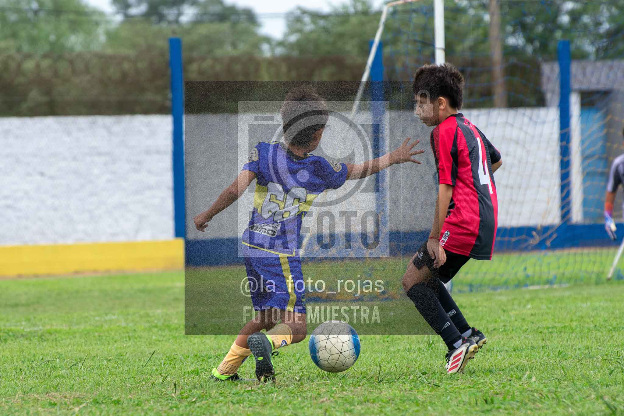 Fotografía 14-3-26-BOC-NEW-2015-15 de 2026-03-14 Boca Newbery 2015