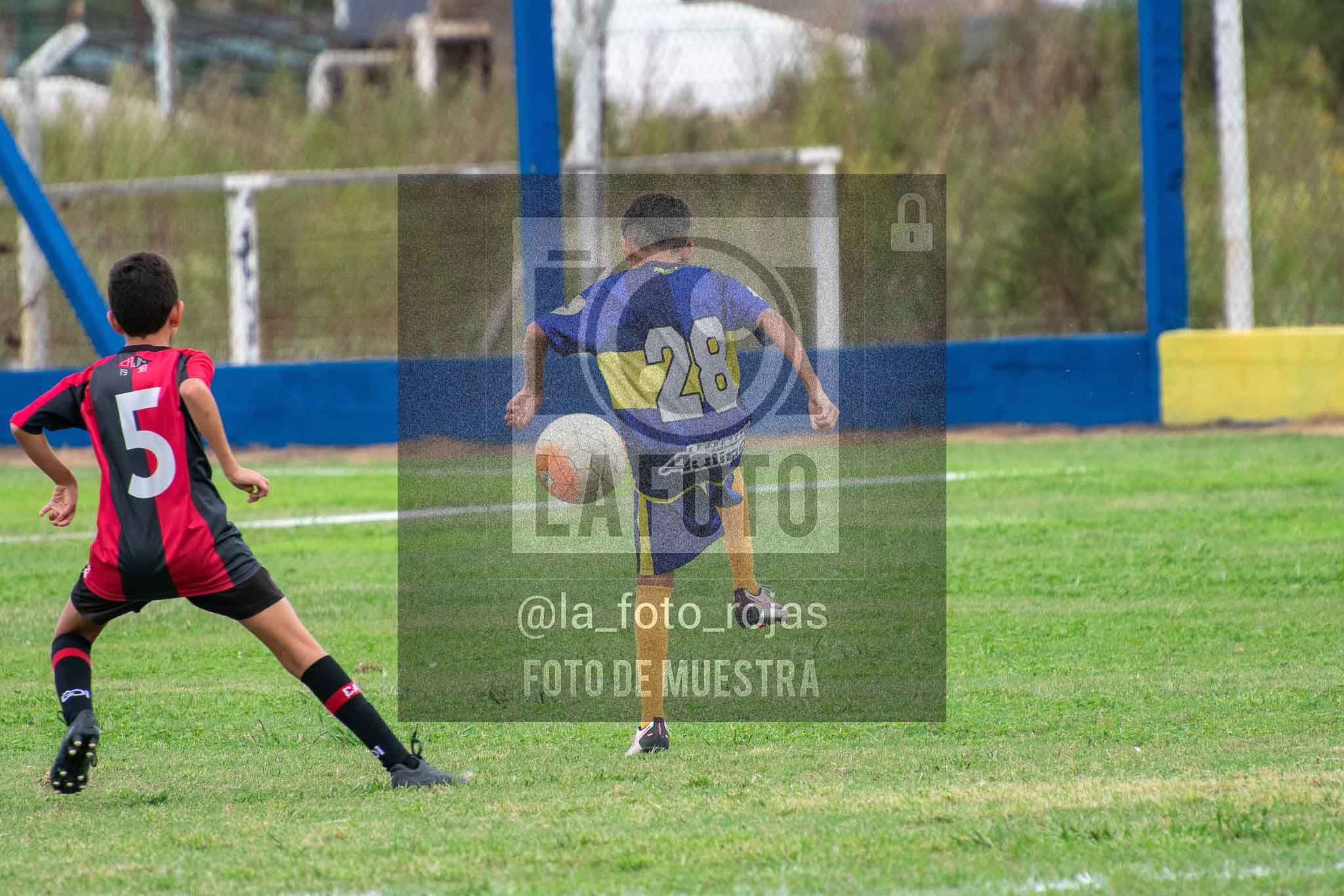 Fotografía 14-3-26-BOC-NEW-2015-24 de 2026-03-14 Boca Newbery 2015