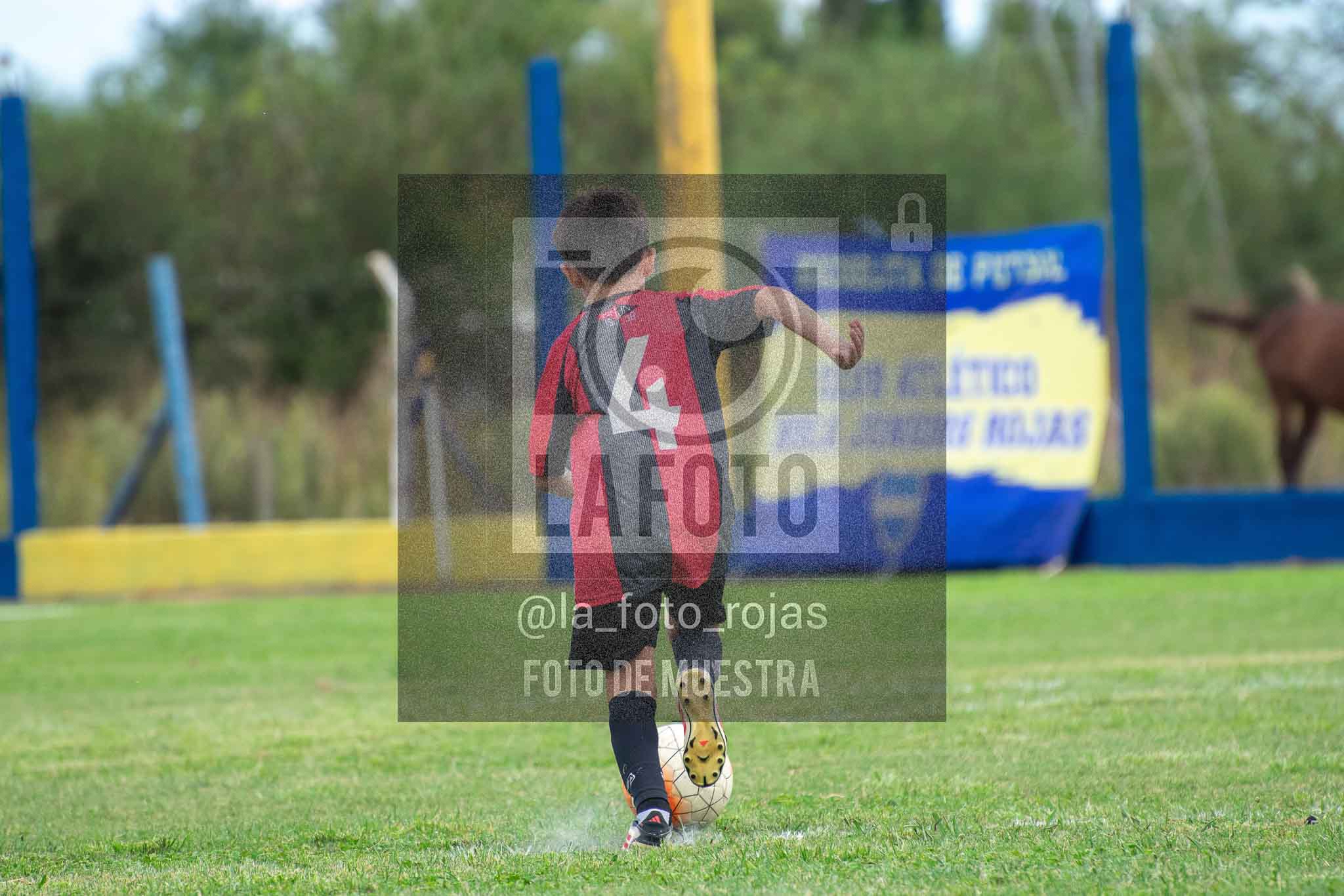 Fotografía 14-3-26-BOC-NEW-2015-32 de 2026-03-14 Boca Newbery 2015