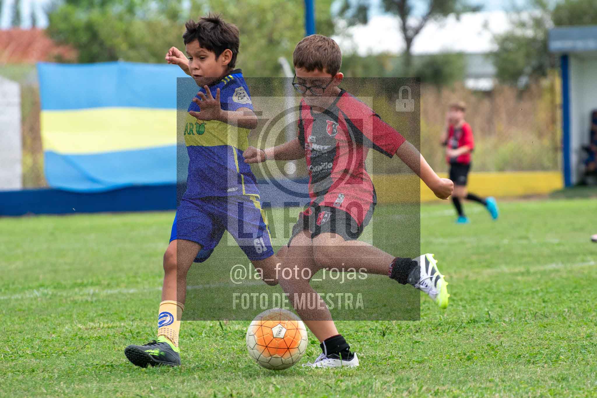 Fotografía 14-3-26-BOC-NEW-2015-34 de 2026-03-14 Boca Newbery 2015