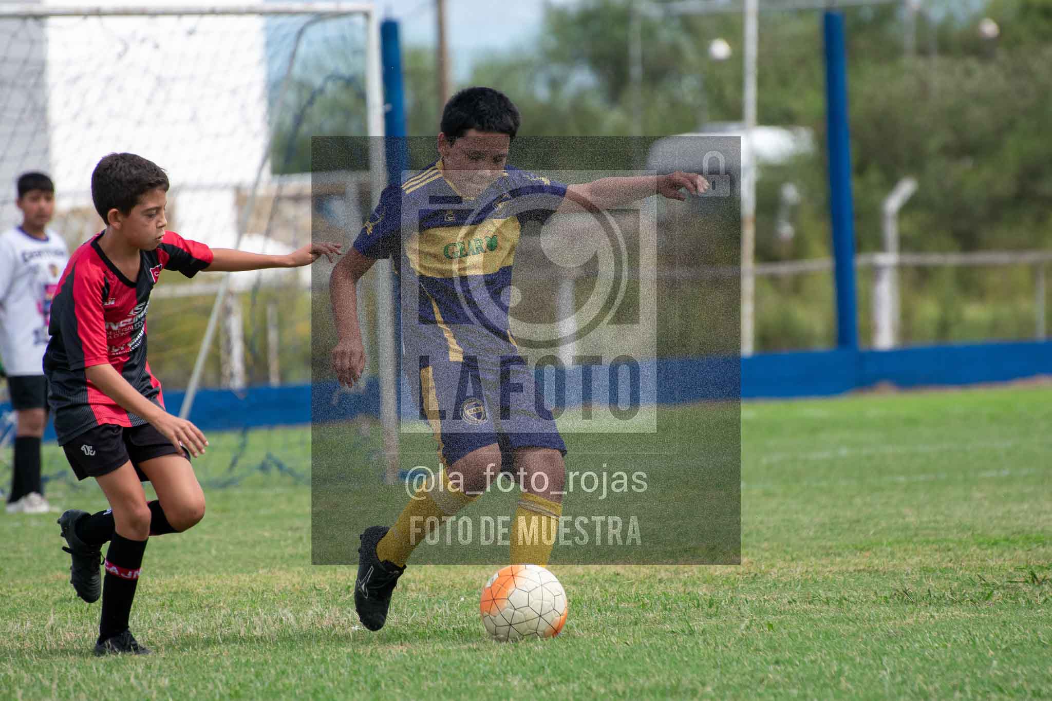 Fotografía 14-3-26-BOC-NEW-2015-37 de 2026-03-14 Boca Newbery 2015