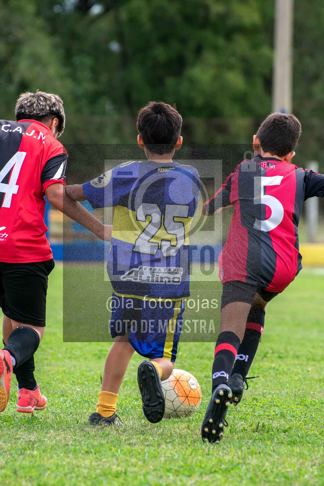 Fotografía 14-3-26-BOC-NEW-2015-40 de 2026-03-14 Boca Newbery 2015