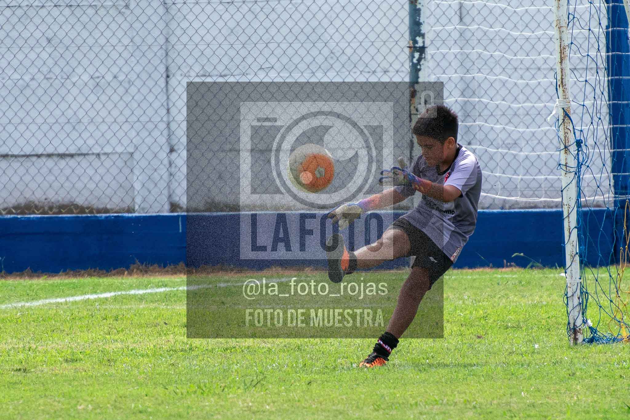 Fotografía 14-3-26-BOC-NEW-2015-46 de 2026-03-14 Boca Newbery 2015