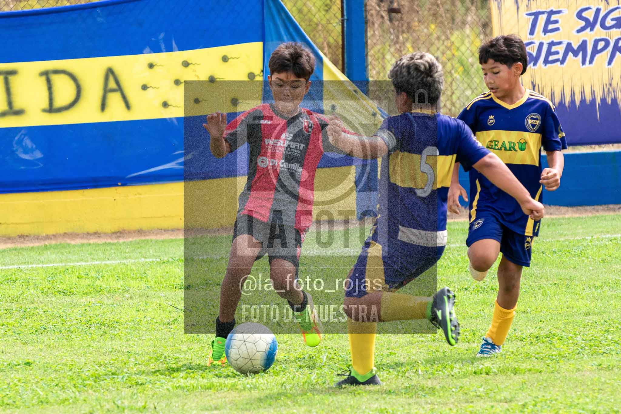 Fotografía 14-3-26-BOC-NEW-2015-50 de 2026-03-14 Boca Newbery 2015
