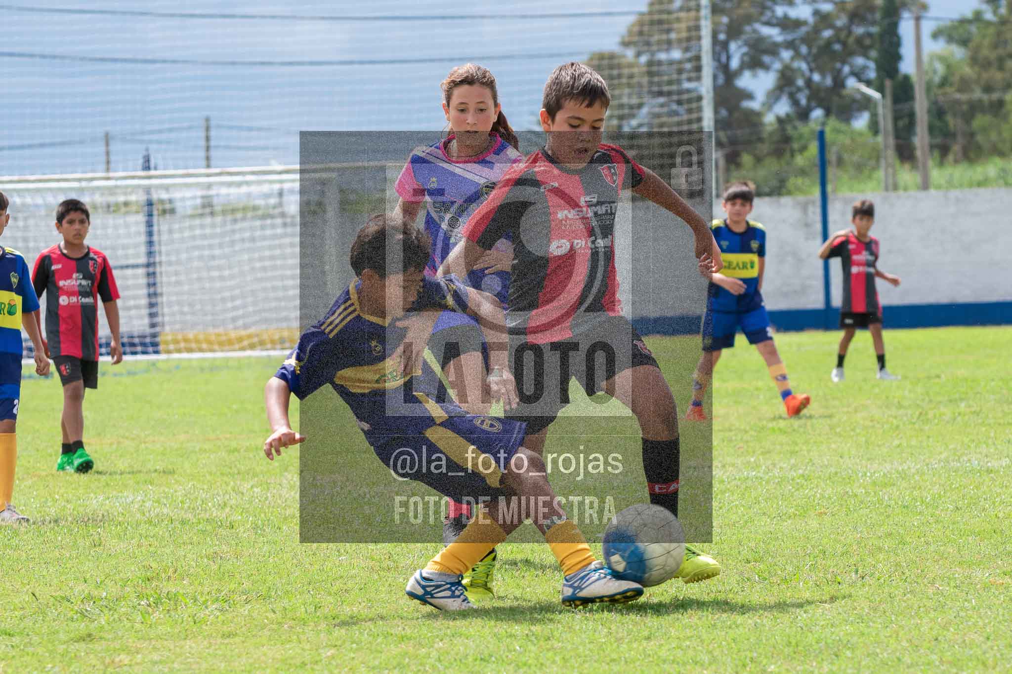 Fotografía 14-3-26-BOC-NEW-2015-53 de 2026-03-14 Boca Newbery 2015