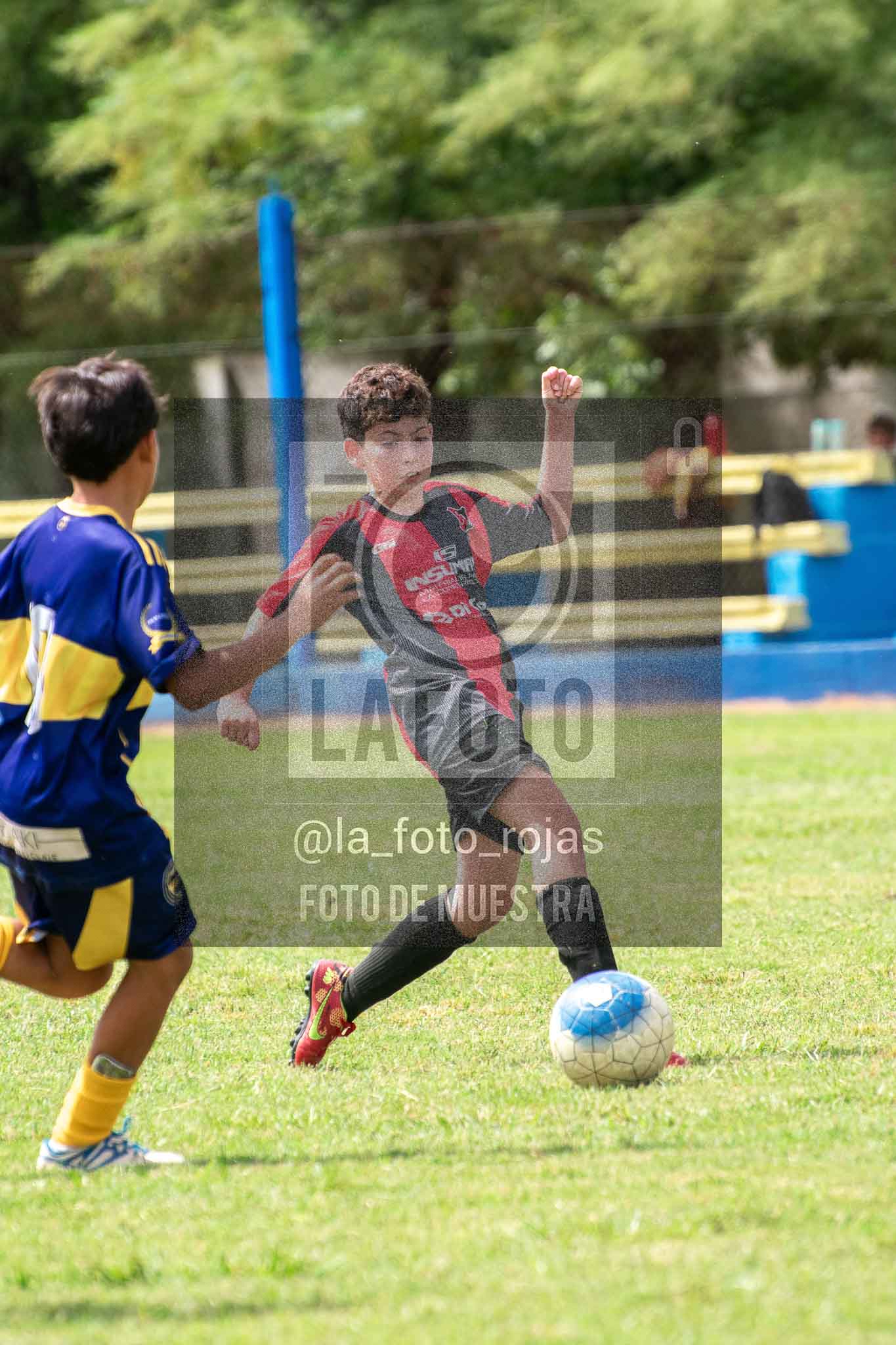 Fotografía 14-3-26-BOC-NEW-2015-55 de 2026-03-14 Boca Newbery 2015