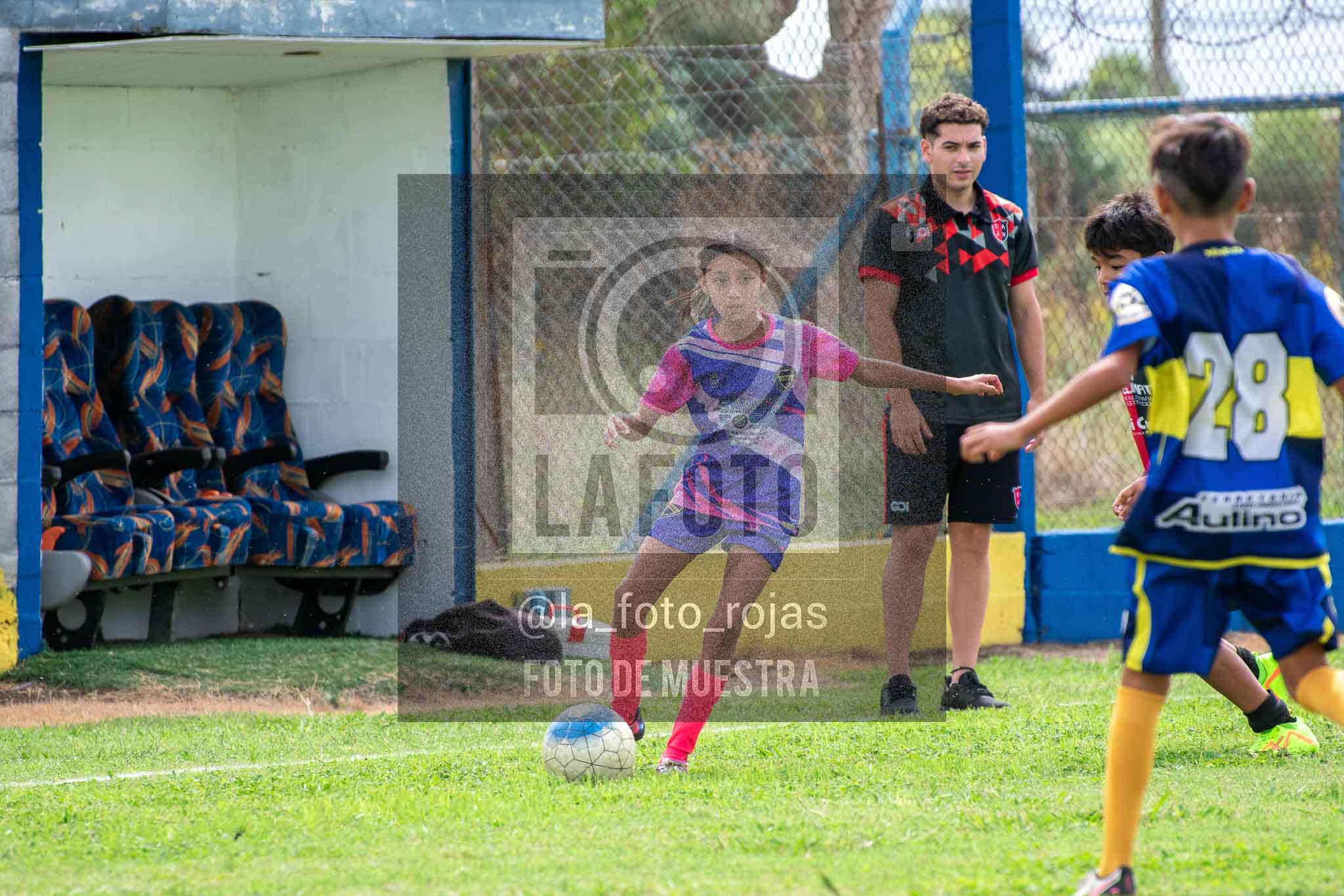 Fotografía 14-3-26-BOC-NEW-2015-61 de 2026-03-14 Boca Newbery 2015