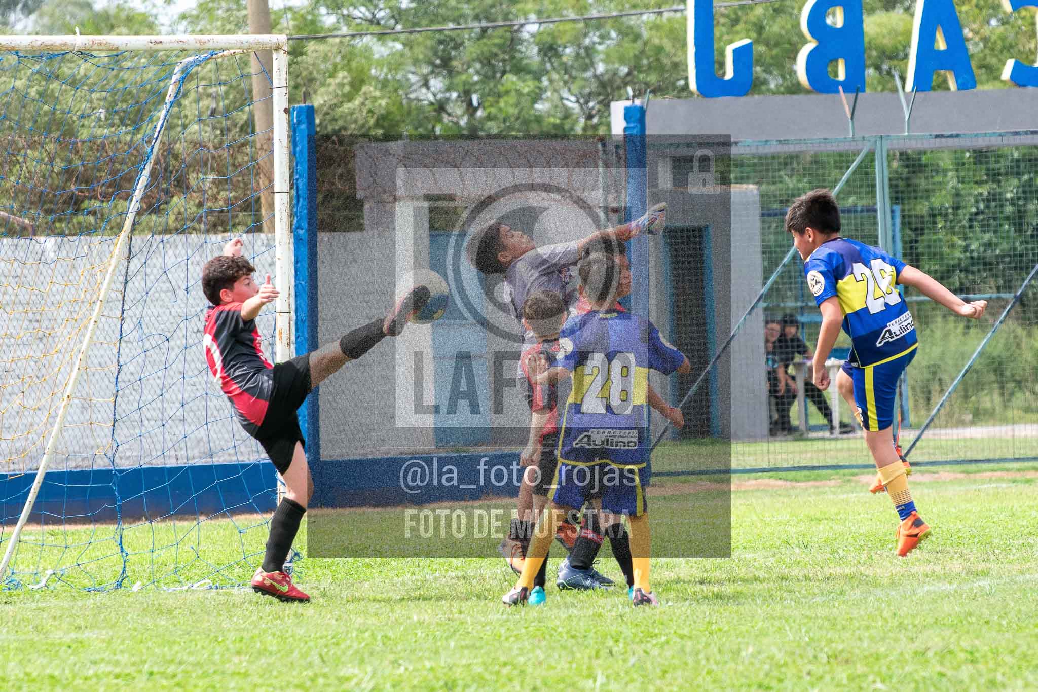 Fotografía 14-3-26-BOC-NEW-2015-62 de 2026-03-14 Boca Newbery 2015