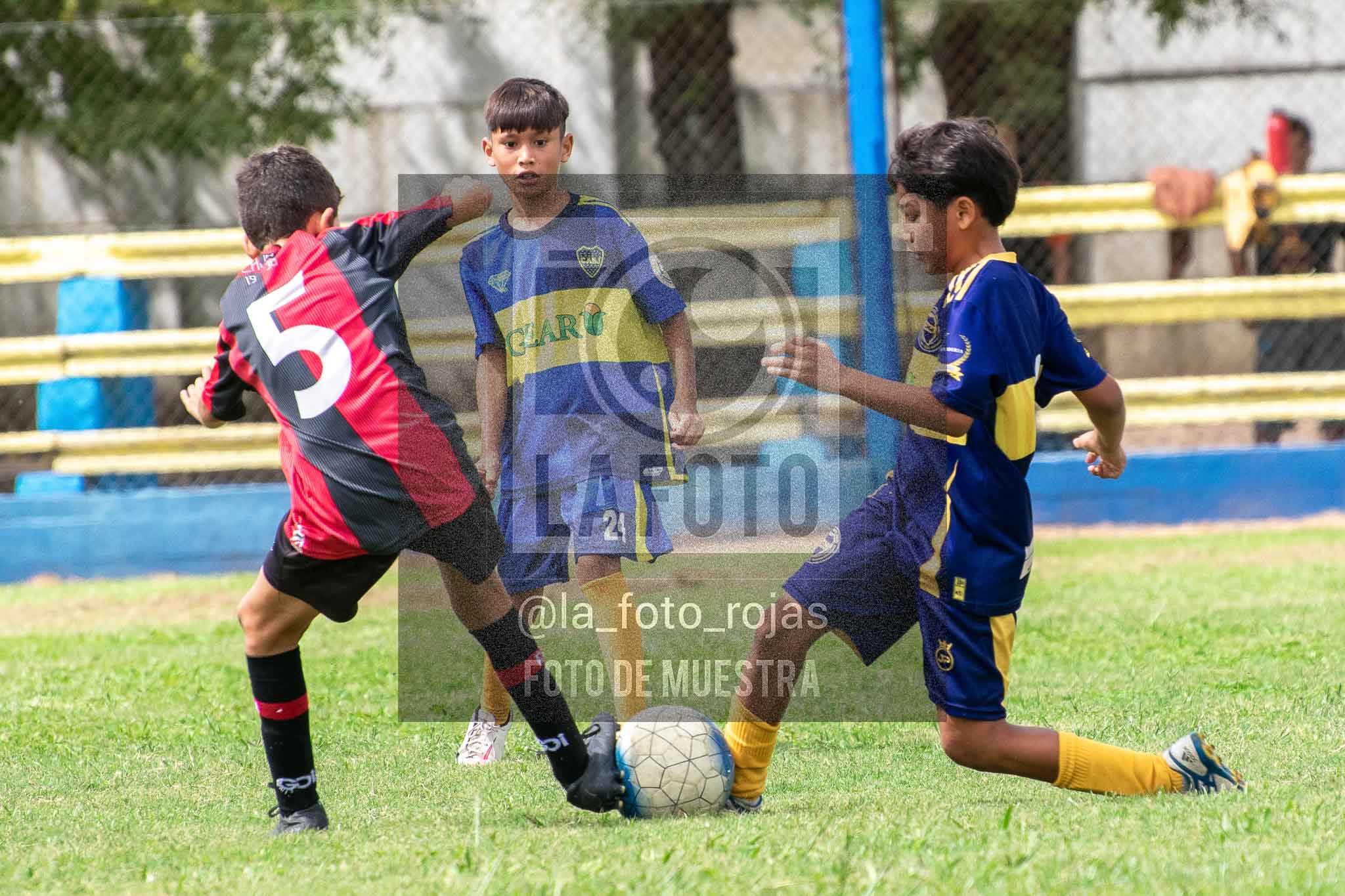 Fotografía 14-3-26-BOC-NEW-2015-63 de 2026-03-14 Boca Newbery 2015