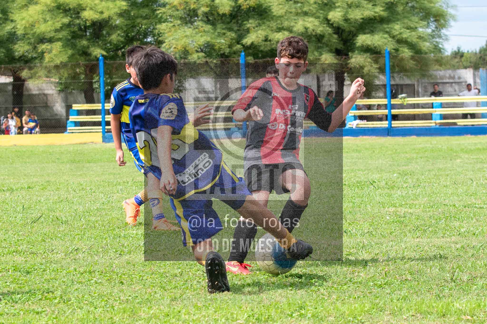 Fotografía 14-3-26-BOC-NEW-2015-66 de 2026-03-14 Boca Newbery 2015
