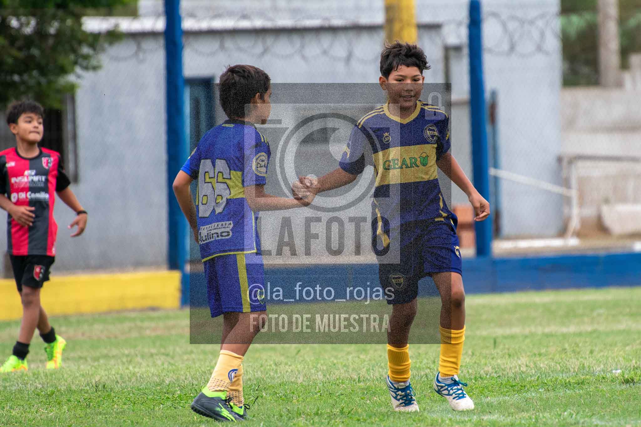 Fotografía 14-3-26-BOC-NEW-2015-77 de 2026-03-14 Boca Newbery 2015