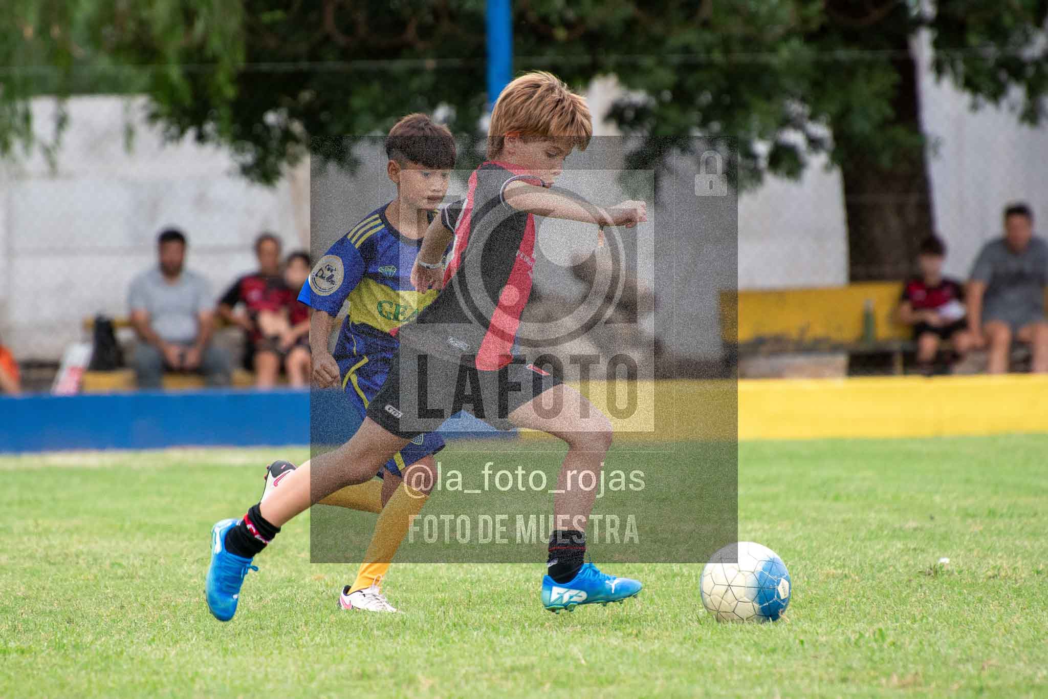 Fotografía 14-3-26-BOC-NEW-2016-17 de 2026-03-14 Boca Newbery 2016