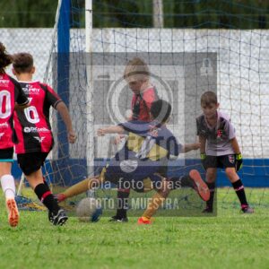 Fotografía 14-3-26-BOC-NEW-2016-20 de 2026-03-14 Boca Newbery 2016