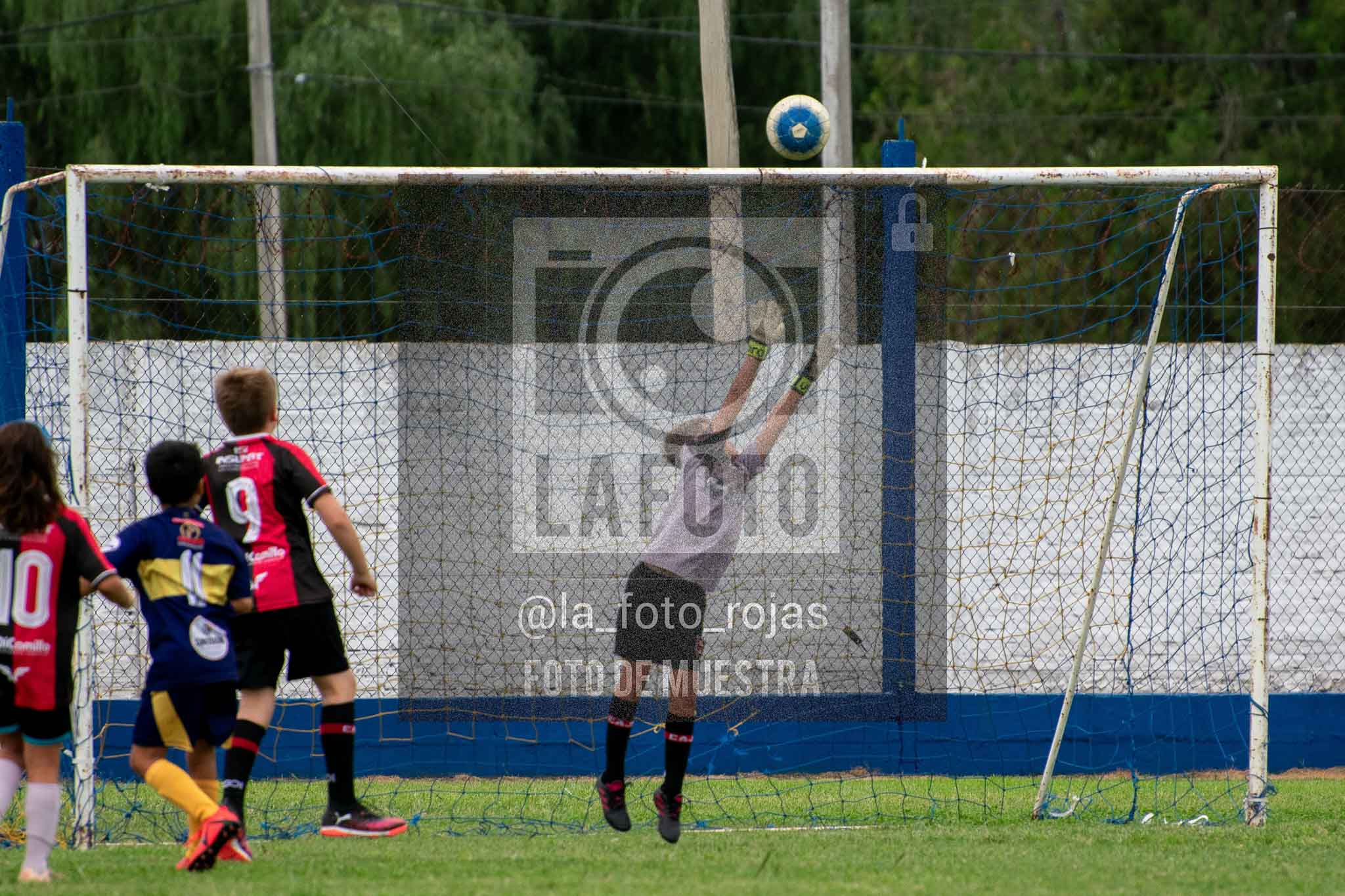 Fotografía 14-3-26-BOC-NEW-2016-21 de 2026-03-14 Boca Newbery 2016