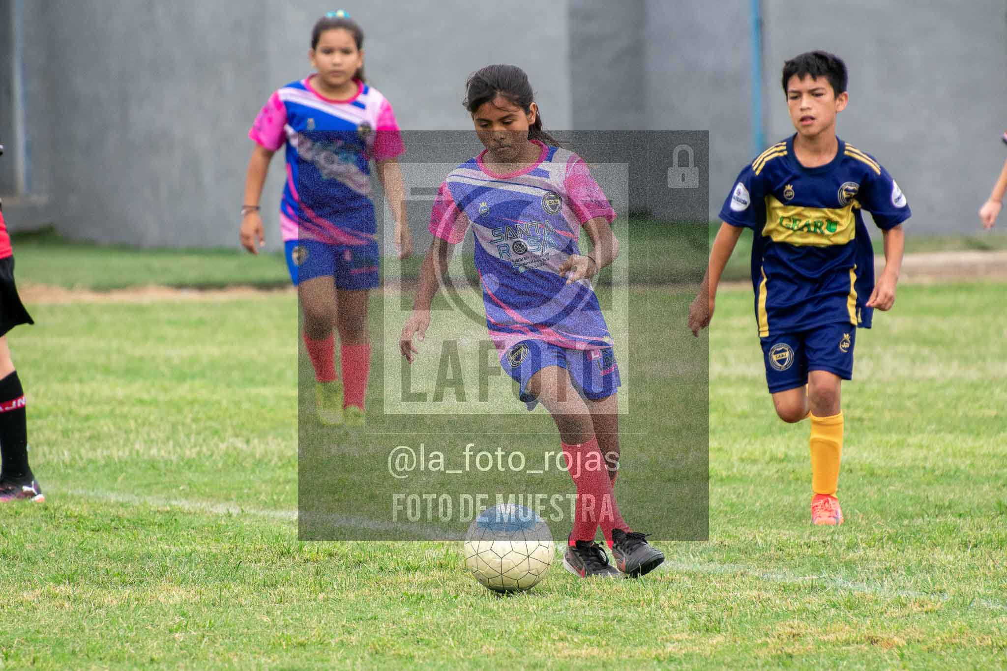 Fotografía 14-3-26-BOC-NEW-2016-29 de 2026-03-14 Boca Newbery 2016