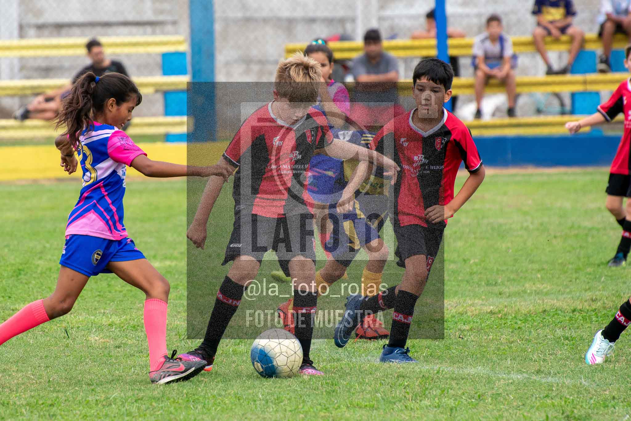 Fotografía 14-3-26-BOC-NEW-2016-30 de 2026-03-14 Boca Newbery 2016