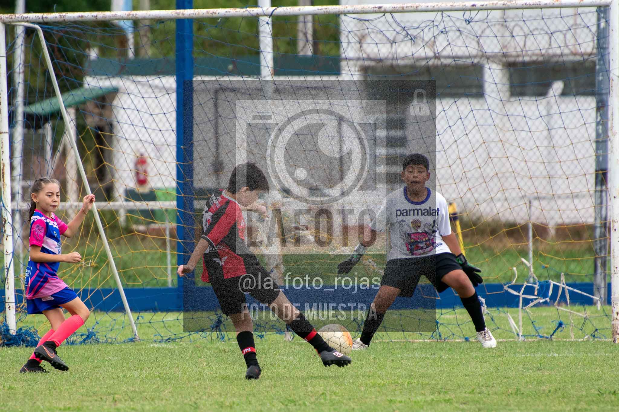 Fotografía 14-3-26-BOC-NEW-2016-32 de 2026-03-14 Boca Newbery 2016