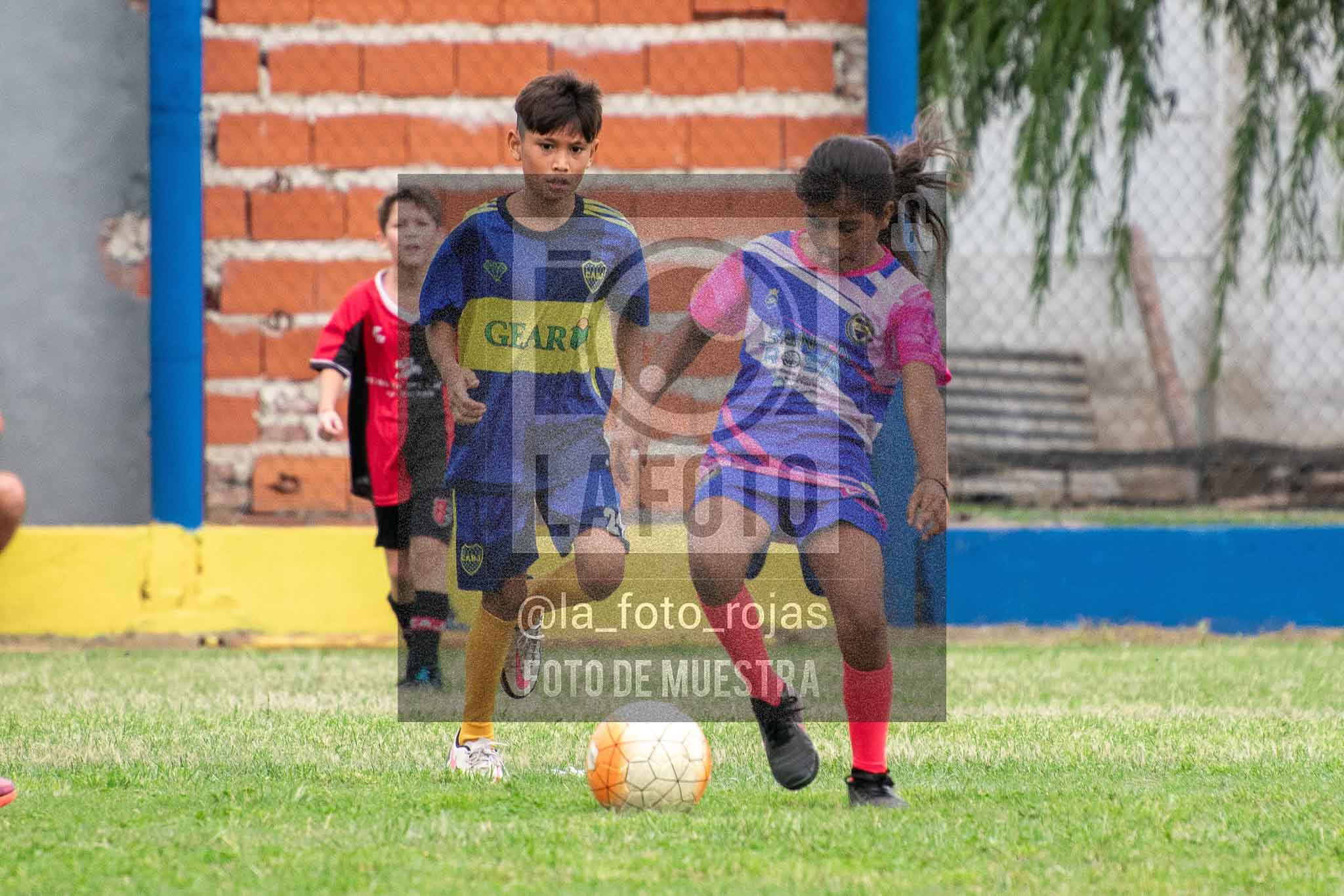 Fotografía 14-3-26-BOC-NEW-2016-36 de 2026-03-14 Boca Newbery 2016