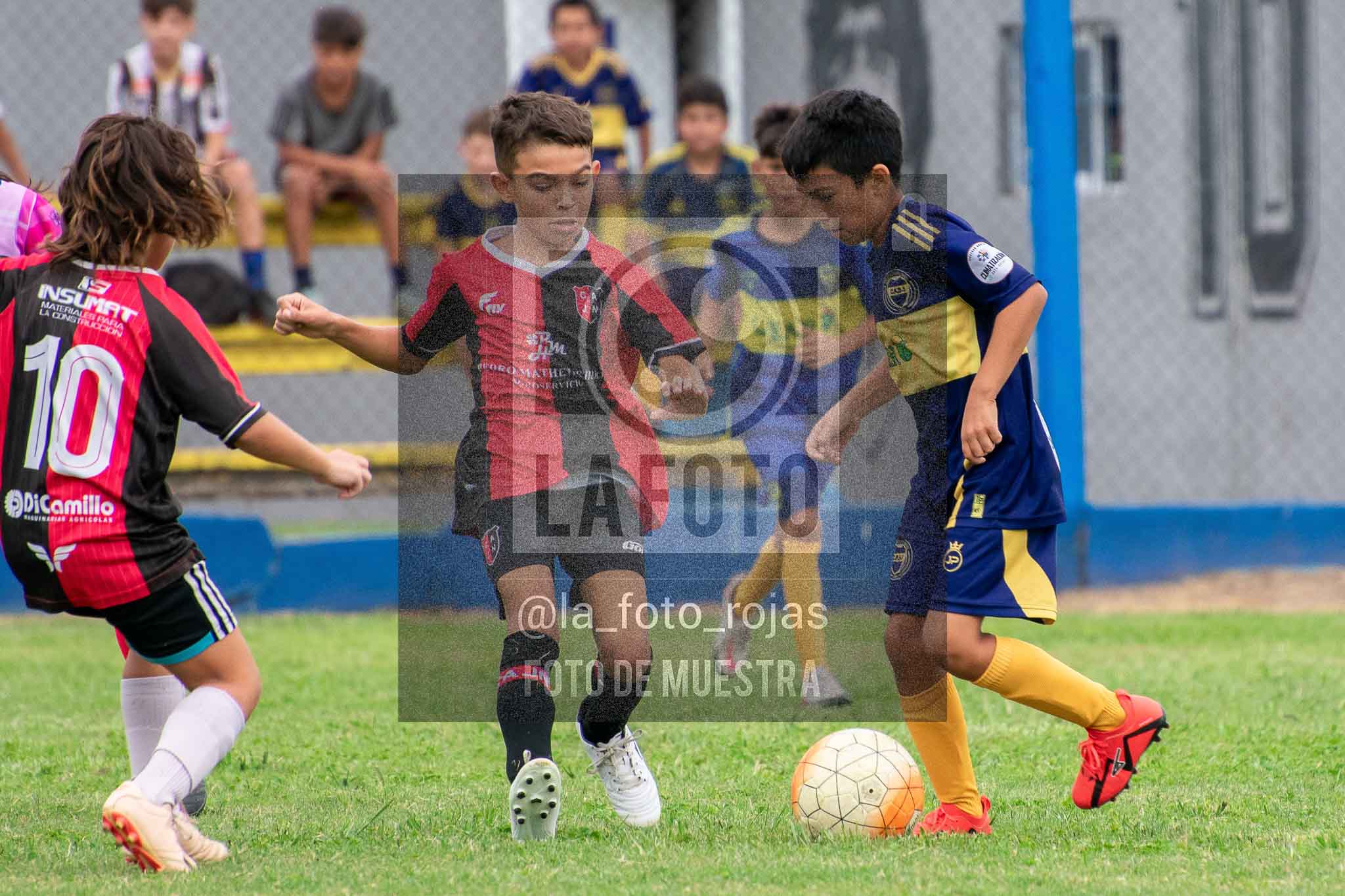 Fotografía 14-3-26-BOC-NEW-2016-37 de 2026-03-14 Boca Newbery 2016