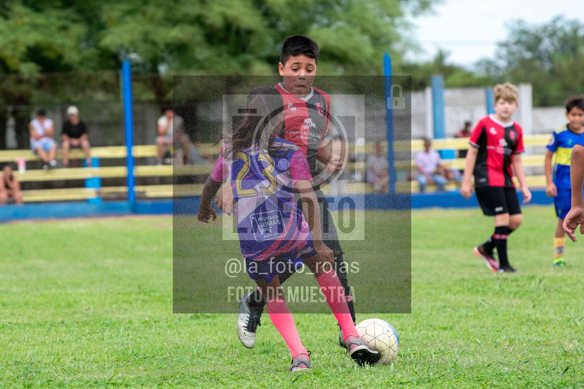 Fotografía 14-3-26-BOC-NEW-2016-41 de 2026-03-14 Boca Newbery 2016