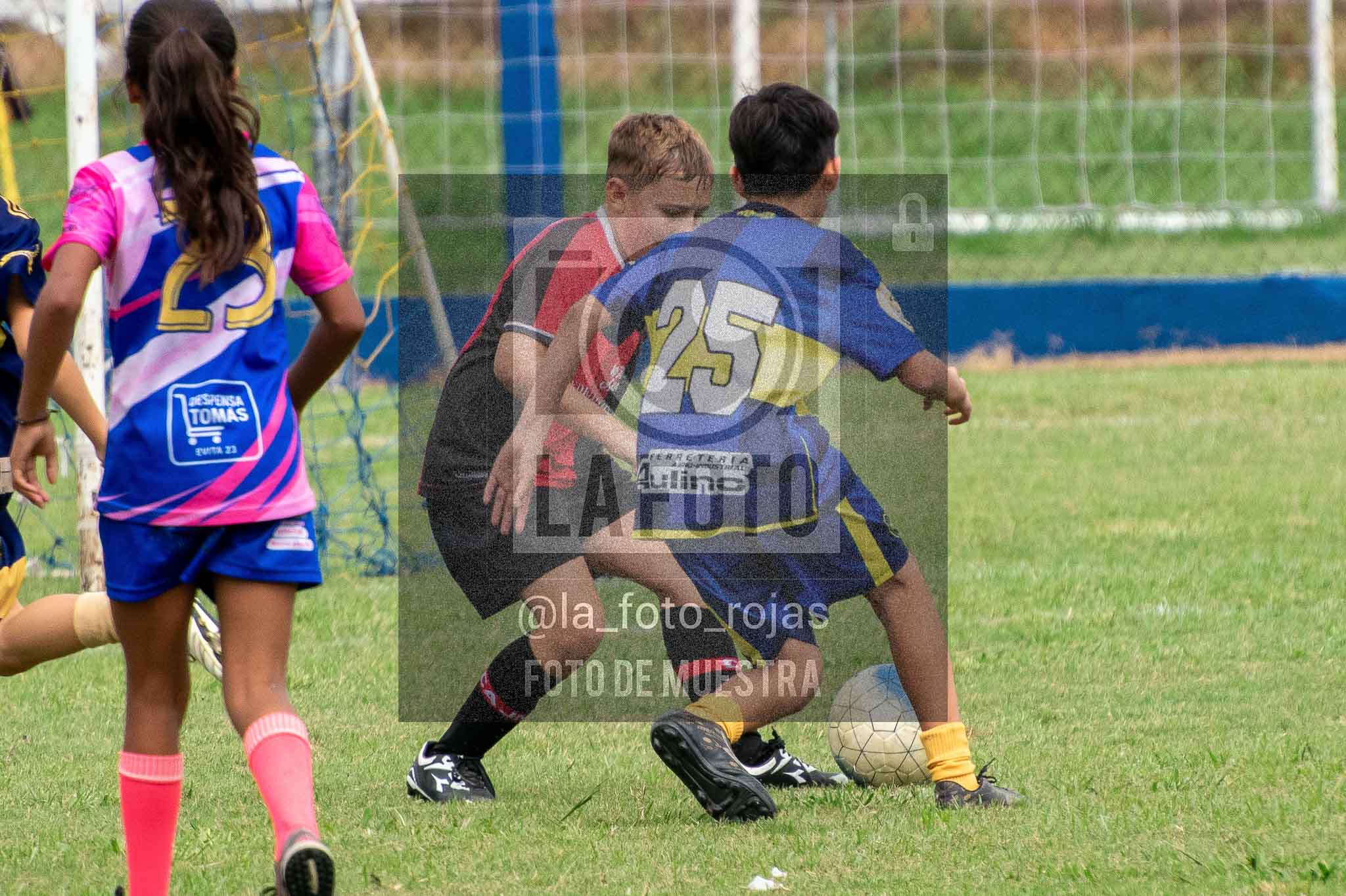 Fotografía 14-3-26-BOC-NEW-2016-44 de 2026-03-14 Boca Newbery 2016